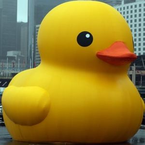 Meet your Posher, Anlact